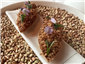 beef tartare canape